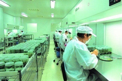 電子廠招聘信息背后：傳統(tǒng)工廠招工的變遷與挑戰(zhàn)